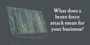 What does a brute force attack mean for your business?