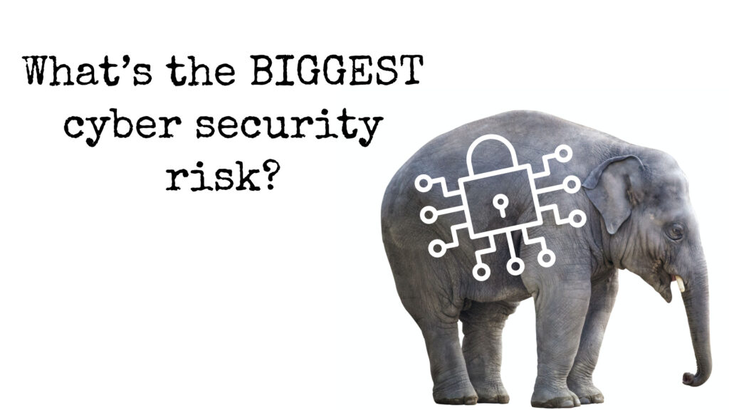 What’s the biggest cyber security risk?